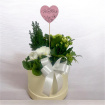 Arrangements | Gifts | Mother’s Day | Plants | Large Planted Hatbox