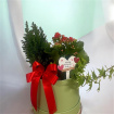 Arrangements | Gifts | Mother’s Day | Plants | Medium Planted Hatbox