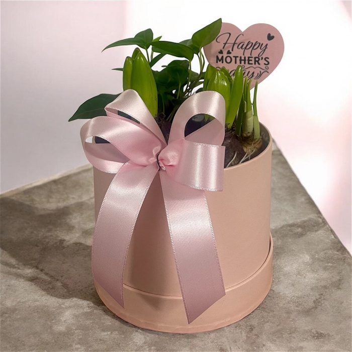 Arrangements | Gifts | Mother’s Day | Plants | Spring Hatbox
