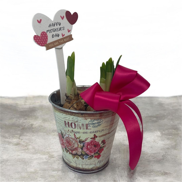 Arrangements | Gifts | Mother’s Day | Plants | Tete a tate