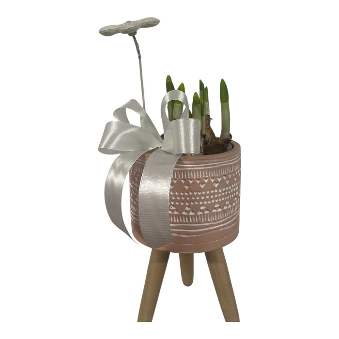 Arrangements | Gifts | Mother’s Day | Plants | Tete a tate pot