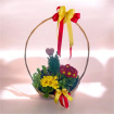 Arrangements | Bouquets | Gifts | Mother’s Day | Planted Basket