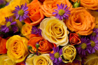 Bouquets | Florist’s Choice Bright Bouquet