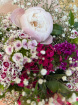 Bouquets | Pinky perky bouquet