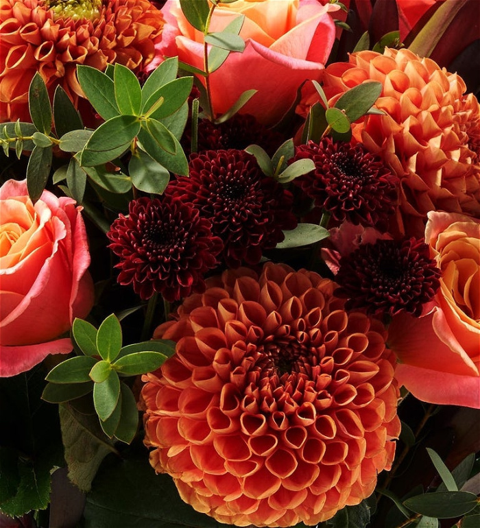 Bouquets | Autumn Glow Bouquet �