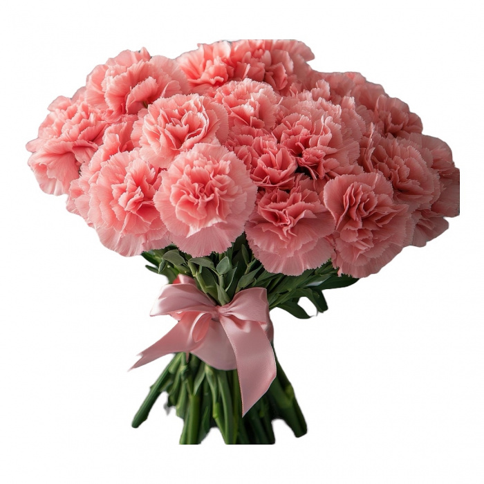 Bouquets | SIMPLY CARNATIONS BOUQUET