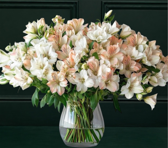 The bouquet collection | SIMPLY ALSTROEMERIA BOUQUET