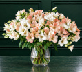 The bouquet collection | SIMPLY ALSTROEMERIA BOUQUET