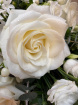 Funeral flowers  | HEAVENLY WHITE
