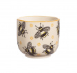 Gifts | Upsell gifts | Busy Bees small planter