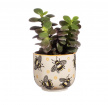Gifts | Upsell gifts | Busy Bees small planter