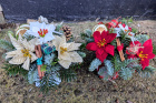 Christmas | Poinsettia cellophane posy