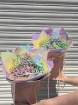 Bouquets | Summer Collection | School’s out for summer