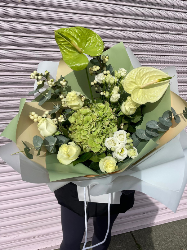 Autumn Collection | Matcha Girlie