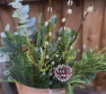 Pre-Order For Christmas 2024 | Festive Foliage