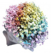 Autumn Bouquets  | Floral City's Rainbow Gypsophila Bouquet