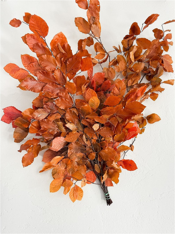 Autumn Bouquets & Door Wreaths St Albans | Floral City | PRE ORDER Preserved Autumn Beech