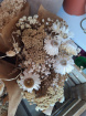 Dried Flowers | Neutral Dried Bouquet