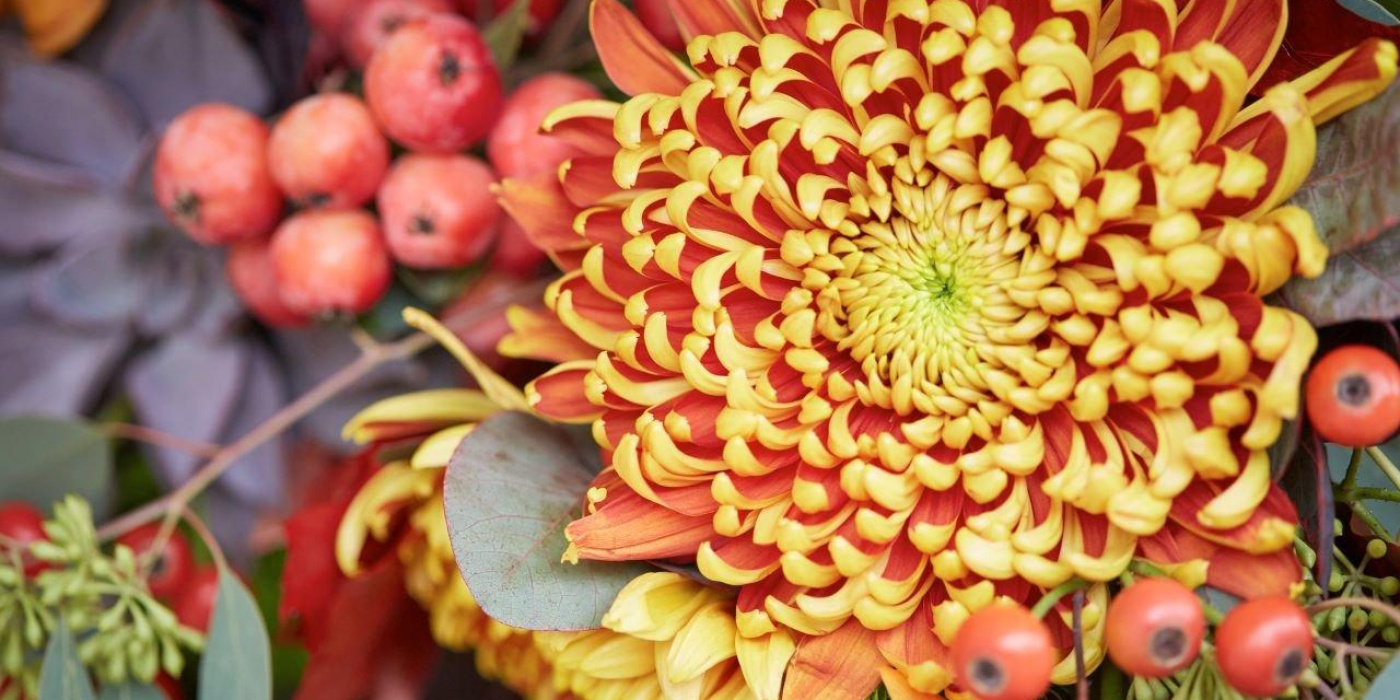Flowers by Sophie | Canvey Island | Home