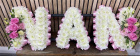 Funeral Tributes | Nan Lettering