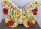 Funeral Tributes | Butterfly