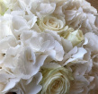 Wedding | Wedding Flower Sevices