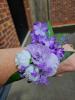 BelleRose Floral Creations | Nuneaton | Weddings