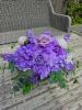BelleRose Floral Creations | Nuneaton | Weddings