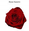 Upsell gifts | Valentines Day 2025 | Valentines rose or mixed Bouquets