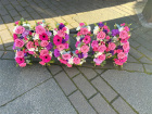 Funeral & Sympathy | Mum tribute
