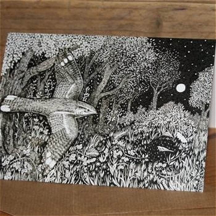 Add Ons | Cards | Nightjar