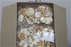 Christmas | Upsell gifts | Wreath Kit Extras