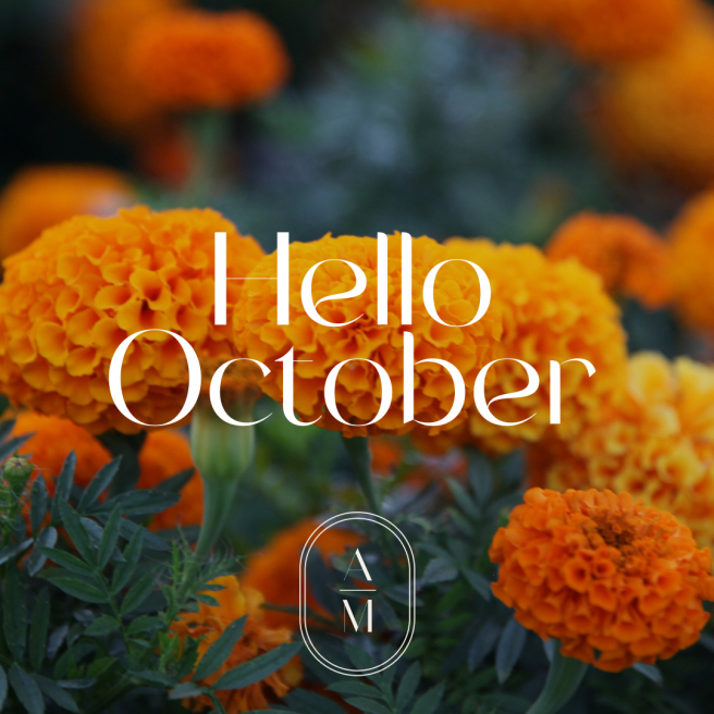 Anna May Floristry | Lucan | Marigold, The Flower of October