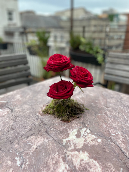 Anna May Floristry | Rathgar | This Valentines Day The Worlds Most Luxurious Roses Await at Anna May Floristry