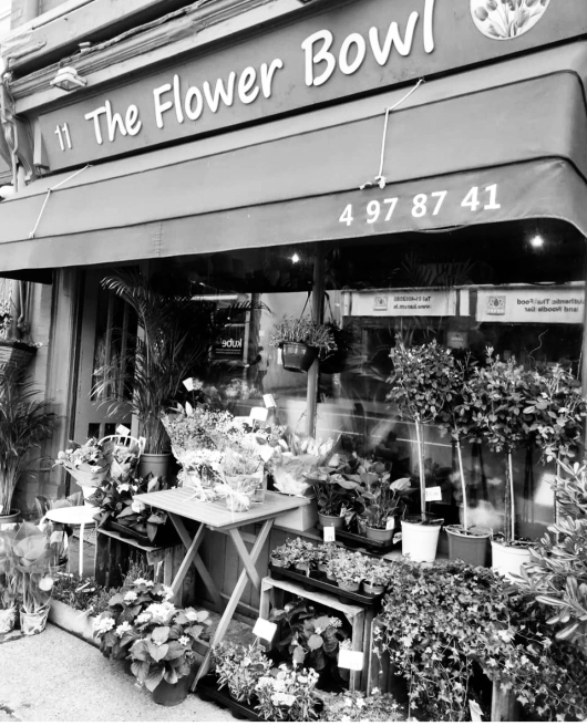 Anna May Floristry Ltd  | Rathgar | Two Years of Anna May in Rathgar Thank You