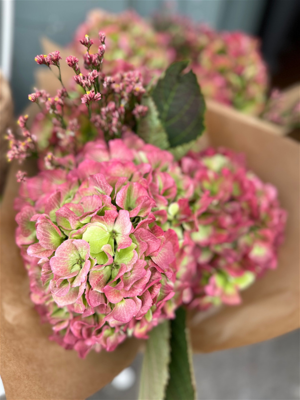 Bouquets | Hydrangea Bunch - Fluffy Clouds of Loveliness