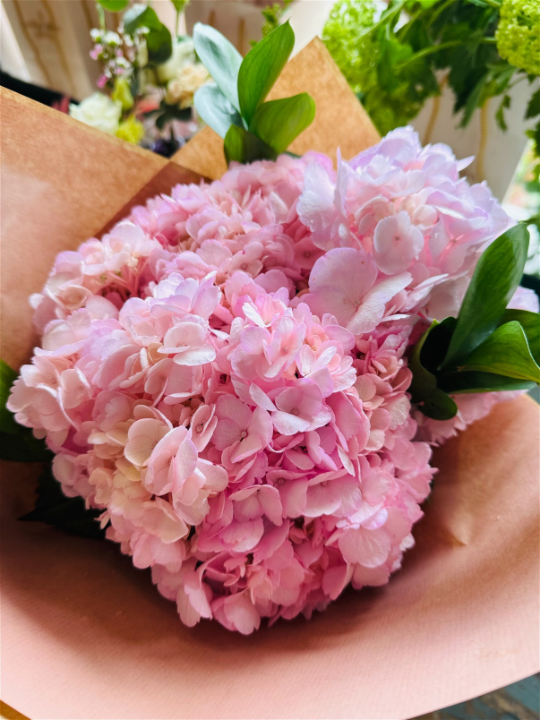 Bouquets | Hydrangea Bunch - Fluffy Clouds of Loveliness