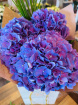 Bouquets | Hydrangea Bunch - Fluffy Clouds of Loveliness