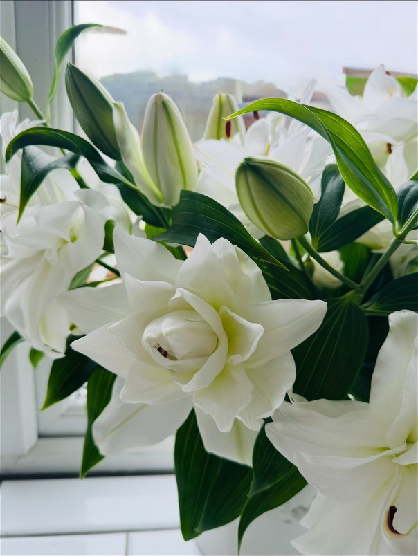 Bouquets | Lilly Bunch - An Elegant Centerpiece for Any Occasion