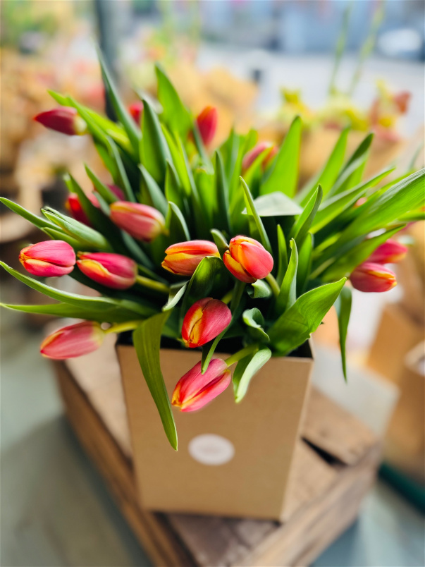 Bouquets | Vibrant Tulip Bouquet