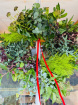 Christmas | Wreaths  | Fresh Irish Foliage Christmas Wreath