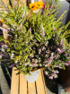 Bouquets | Fresh Irish Heather Bunch