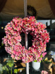 Wreaths  | Luxury Silk Hydrangea Wreath – Timeless Beauty on a Willow Base