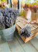 Bouquets | Dried Lavender Bunch