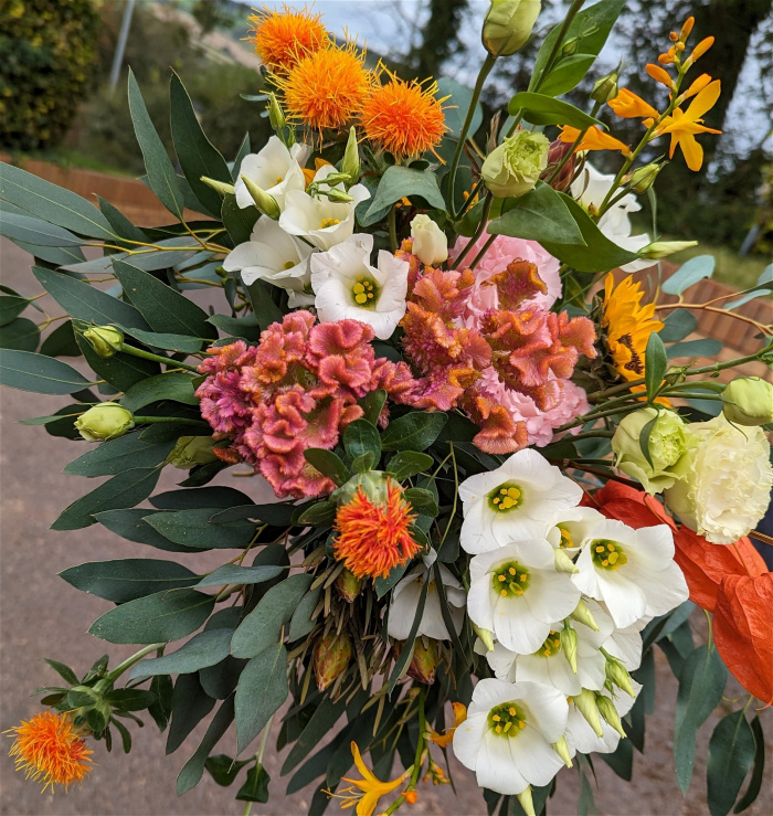 Autumn | Seasonal Flowers