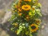Wealden Wild Floral Design | Rye | Funeral