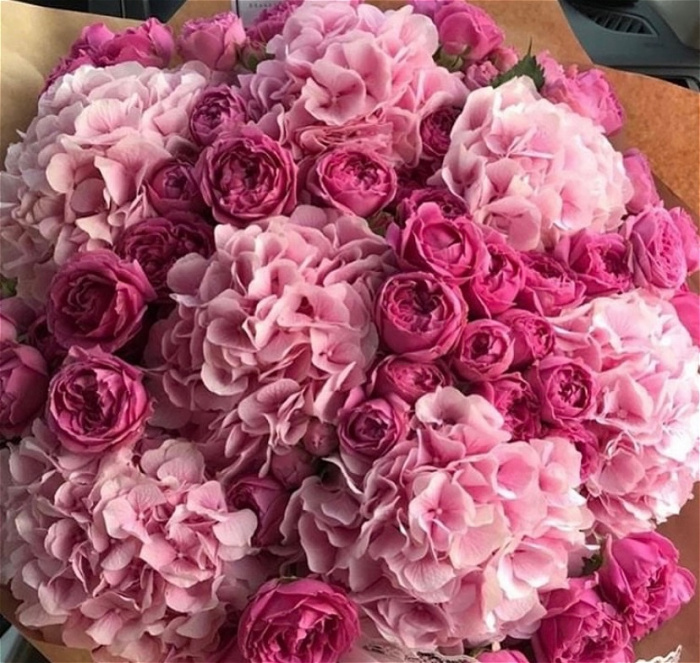 Bouquets | Mother's Day | Hydrangea only