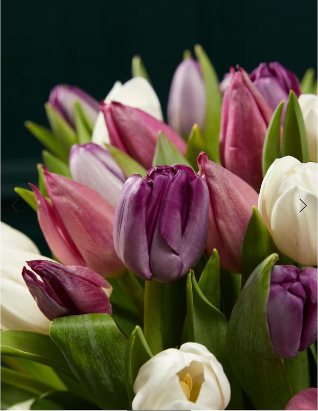 Bouquets | Mother's Day | Tulip bouquet