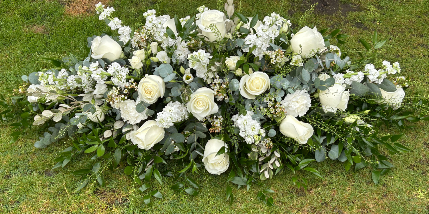 Mud Flowers | Bolton | Home