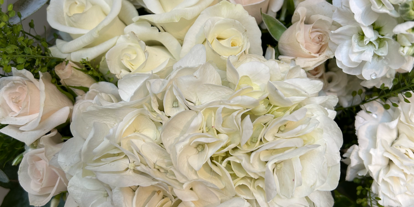 Mud Flowers | Bolton | Home